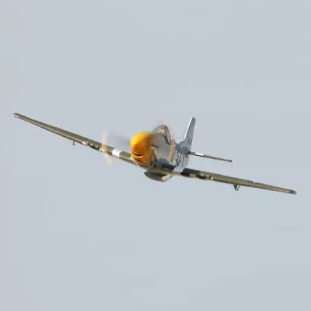 Avion na daljinsko upravljanje FOCKE P-51D MUSTANG electro, RTF by PARKZONE