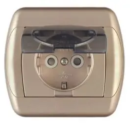 Dvopolna priključnica sa transparentnim poklopcem i za&scaron;titnim elementom, zlatna ROYAL EXCLUSIVE Metalka Majur