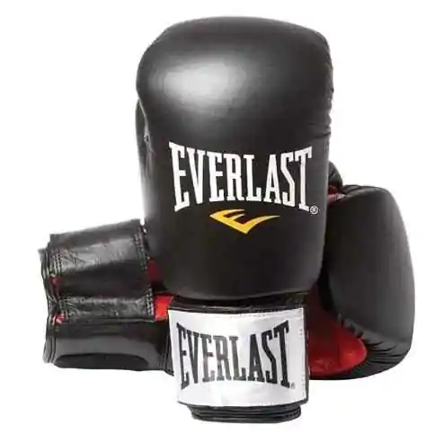 Rukavice za boks 10 Oz Fighter Everlast