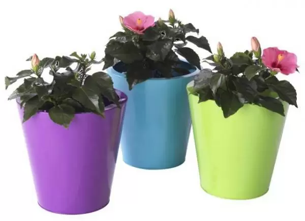 Saksija REGALE Ø29xV29cm cink zelena