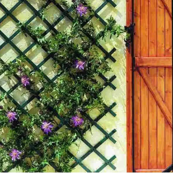 Merdevine za puzavice Trelis 1