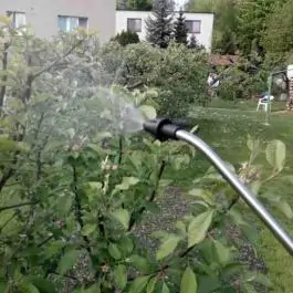 Akumulatorska ba&scaron;tenska prskalica ZI-DS2V-AKKU Zipper