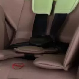 Auto sedište za decu Concord Beige&Green Bears Swing 0-18kg BERTONI