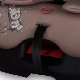 Auto sedište za decu Concord Beige&Green Bears Swing 0-18kg BERTONI