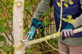 Akumulatorska testera za grane KEO Bosch