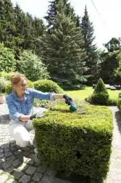 Akumulatorske makaze za žbunje ISIO III BOSCH