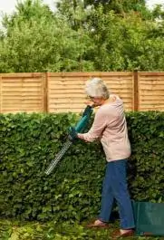Akumulatorske makaze za živu ogradu EasyHedgeCut 12-45 Bosch