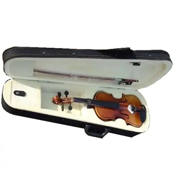 Violina sa koferom 4/4 Moller