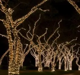 LED trepćući svetleći niz sa mogućnošću nadogradnje 5m + 5m 50 sijalica toplo bela