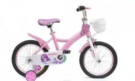 Bicikla za decu 16" model 704 ''Nina Rose''