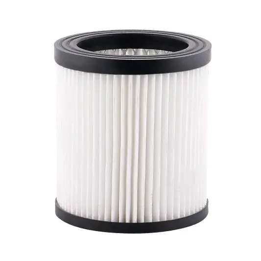 Filter za usisivač za pepeo ZN1601-20L ISKRA