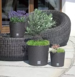 Baštenska saksija Rato Round 30x27 cm bela sa uloškom Prosperplast