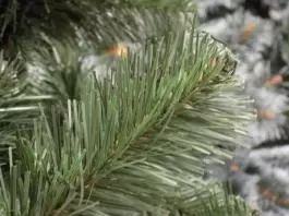 Zelena novogodišnja jelka 300 cm