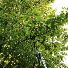 Preključak tresač grana PH-SH za PH430 GARDENmaster