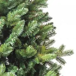 Jelka OREGON 210 cm
