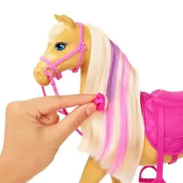 Barbie ranč sa barbikom i konjićima