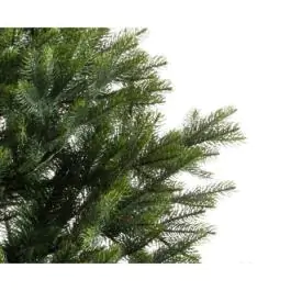 Novogodišnja jelka Arlberg fir 180cm-127cm Everlands