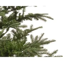 Novogodišnja jelka Nobilis fir 300cm-208cm Everlands