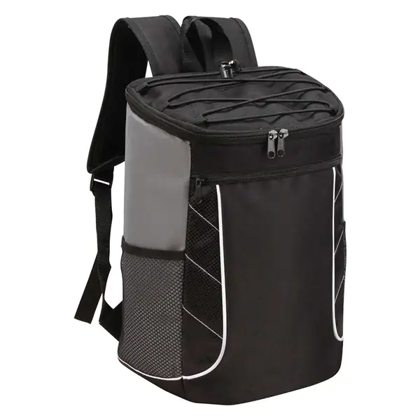 Ranac za hladjenje 20l