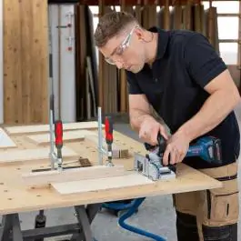 Bosch Glodalica za pljosnate tiplove GFF18V-22, 0601620100