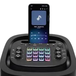 Prenosna zvučna kutija sa Bluetooth konekcijom 60W PAR2100BT