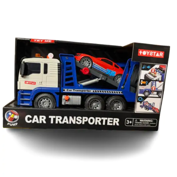 Šlep dizalica i auto CT081686