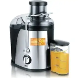 RAF R.2805 sokovnik silver 600W