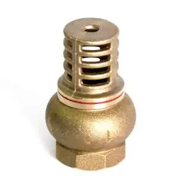 Usisna Korpa 5/4" Mesingana