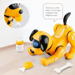 Kuca robot