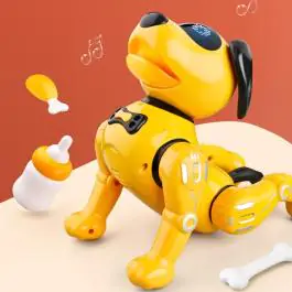 Kuca robot