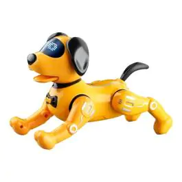 Kuca robot