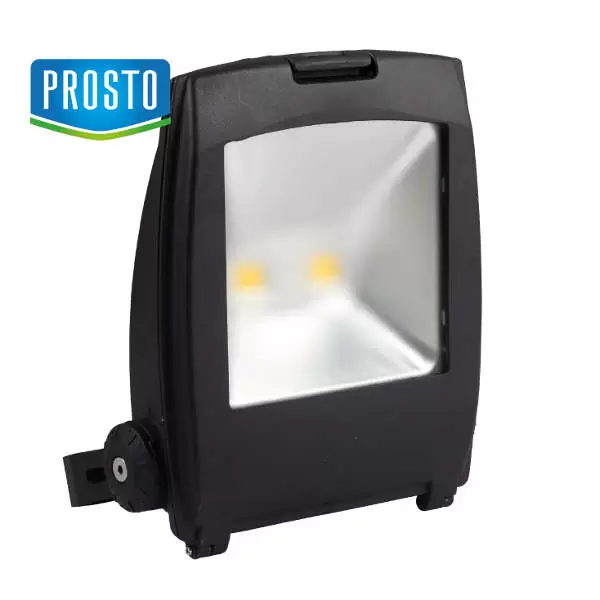 LED reflektor 30W LRF002W-100