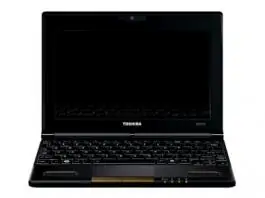 Toshiba NB520-10C Intel Atom N550(1.50GHz)/1GB/250GB/Win 7 Starter Netbook